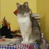 Отзыв от Лера Белова